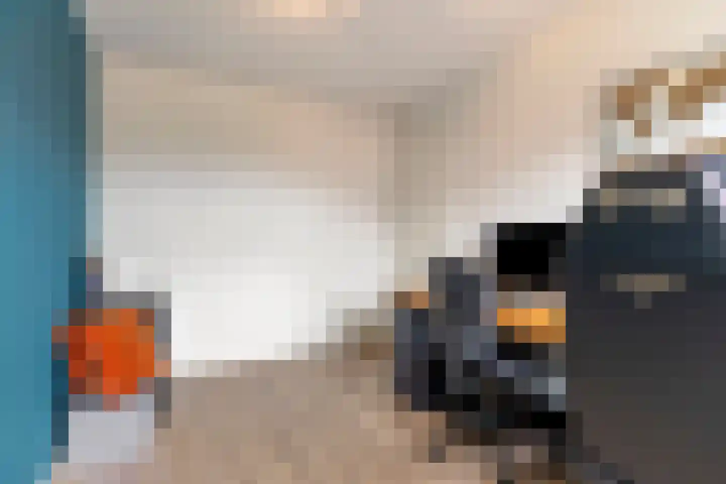 Kattestart 47 Gemert thumbnail 23
