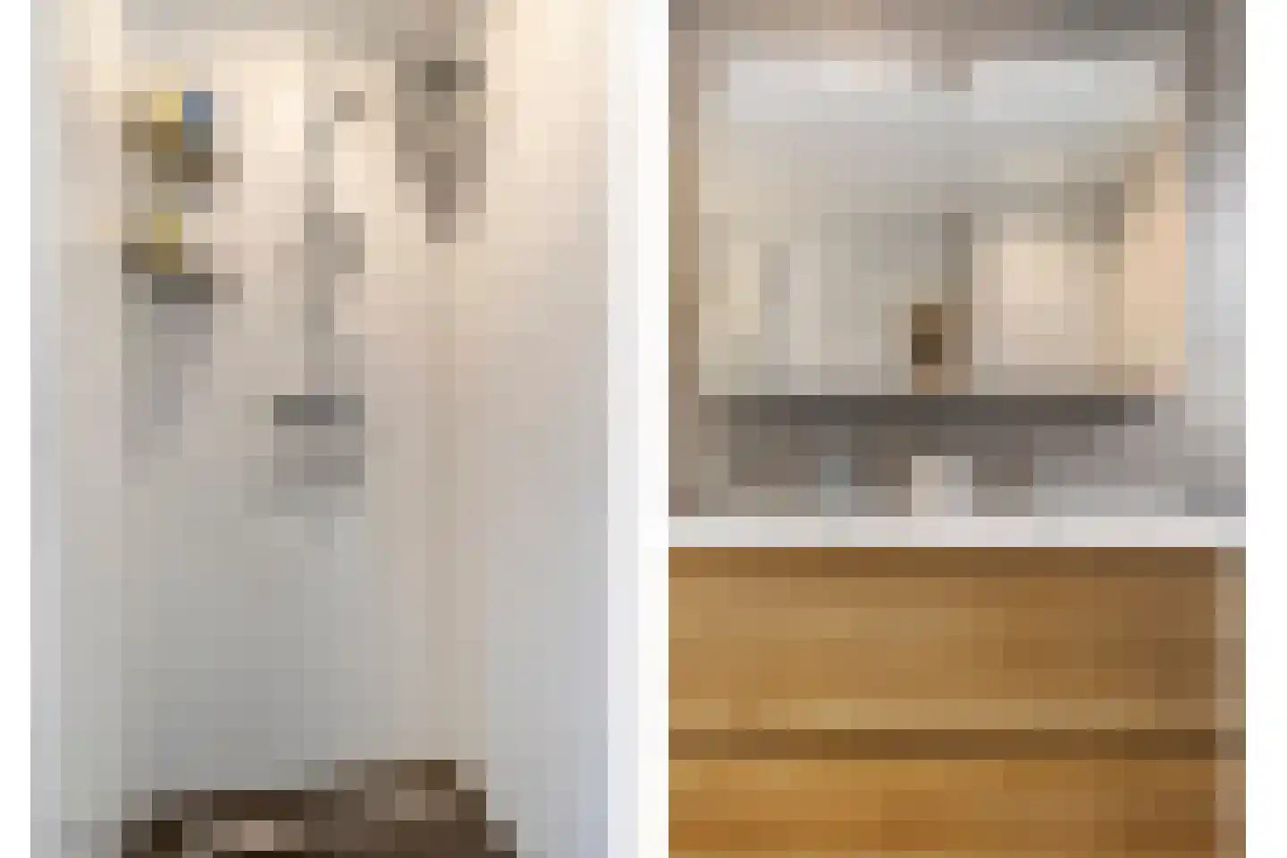 Kattestart 47 Gemert thumbnail 25