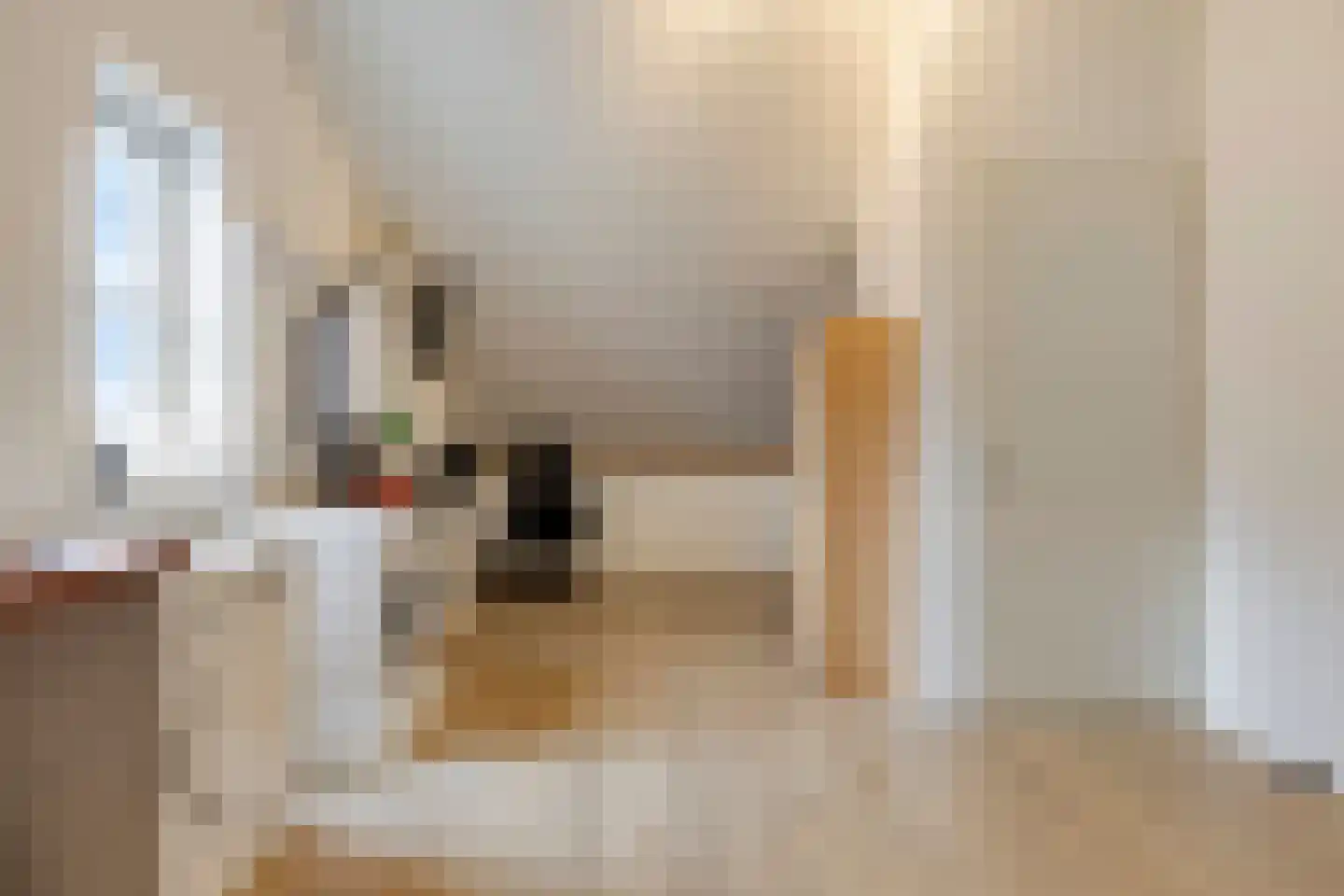 Kattestart 47 Gemert thumbnail 28