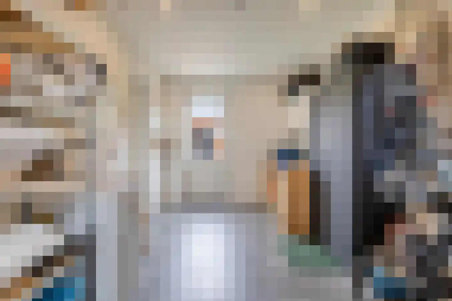 Kattestart 47 Gemert thumbnail 30
