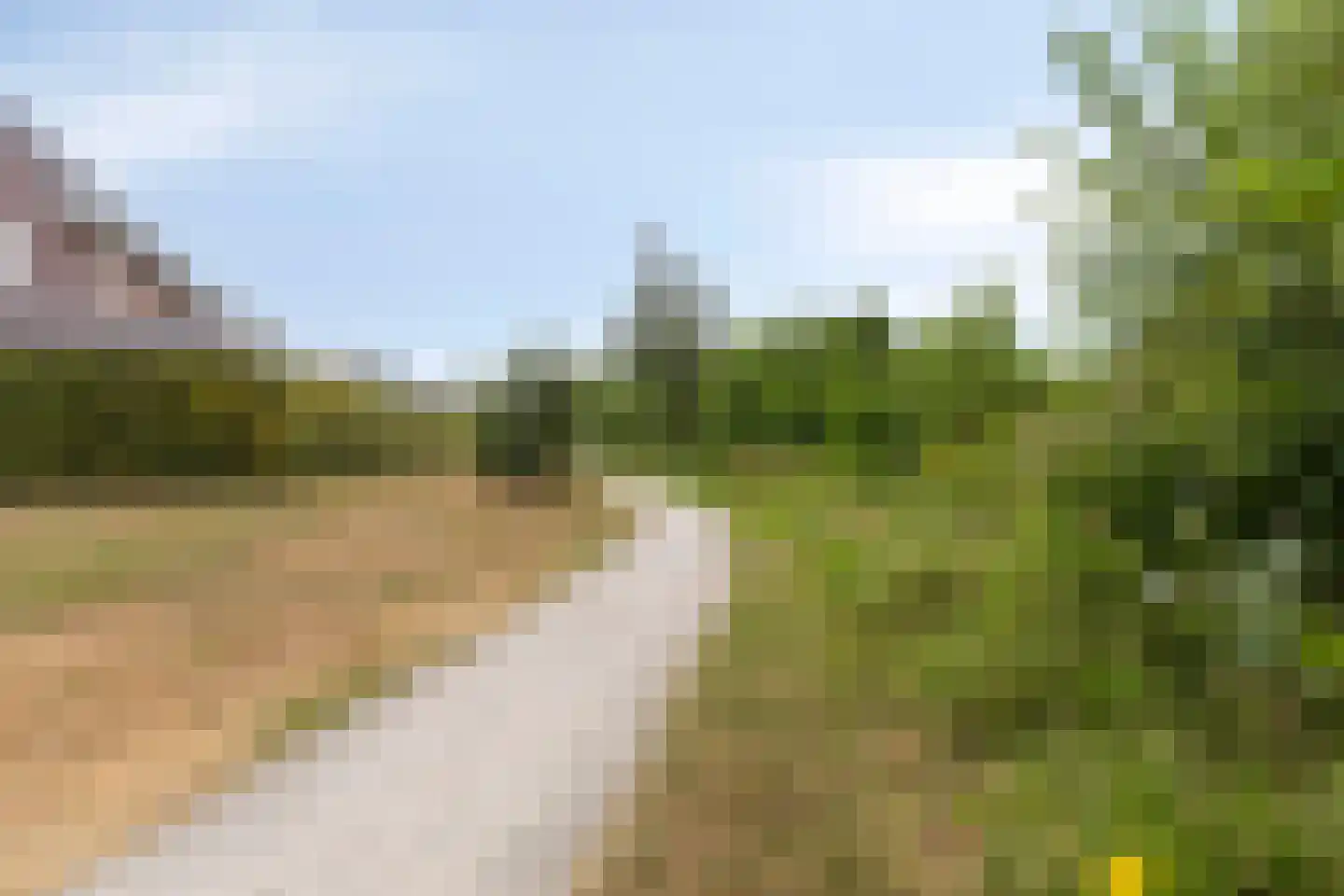 Kattestart 47 Gemert thumbnail 37
