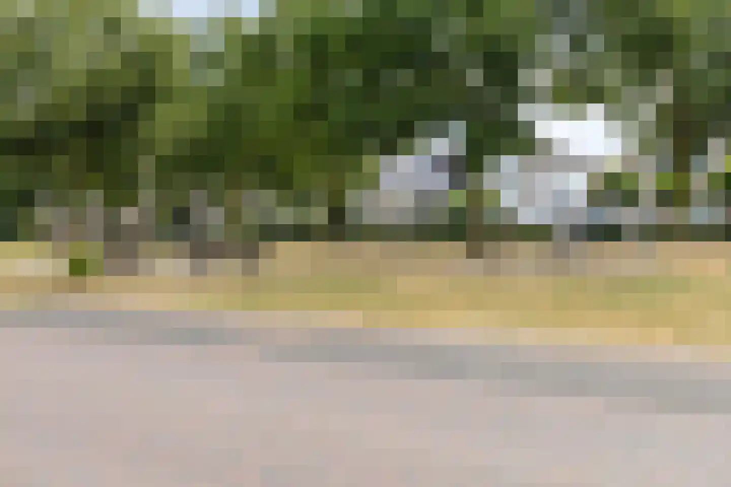 Kattestart 47 Gemert thumbnail 38