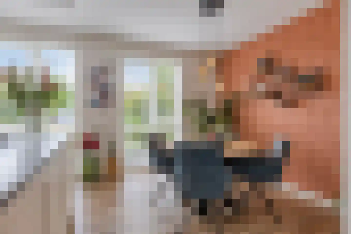 Kattestart 47 Gemert thumbnail 7