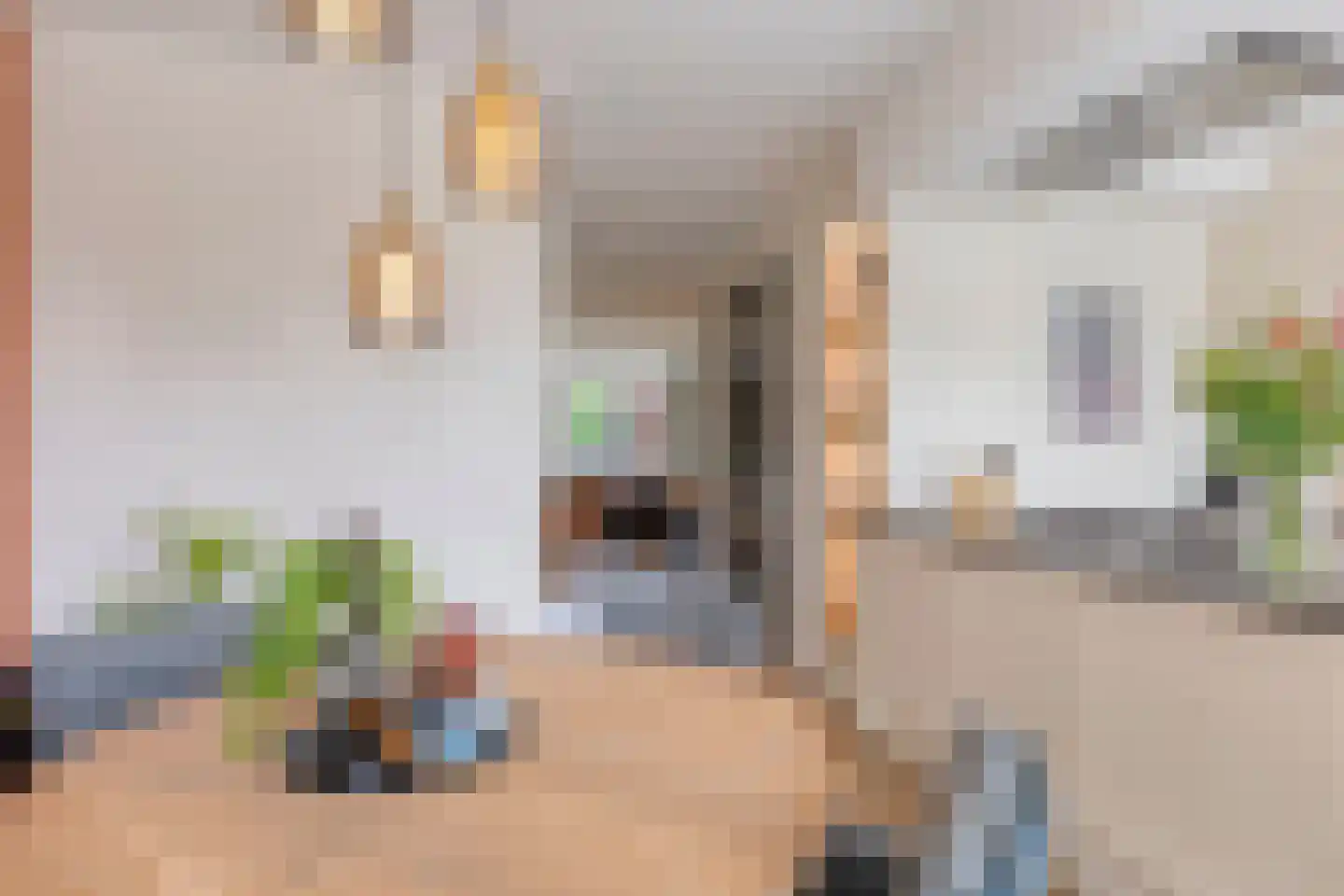 Kattestart 47 Gemert thumbnail 8