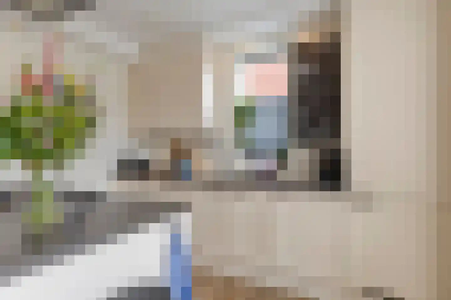 Kattestart 47 Gemert thumbnail 9