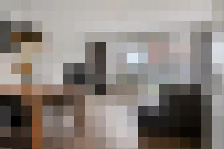 Kattestart 59 Gemert thumbnail 12