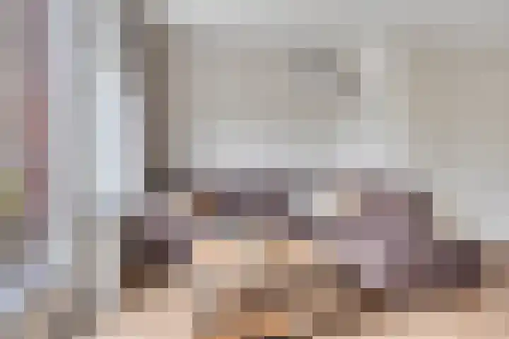 Kattestart 59 Gemert thumbnail 13