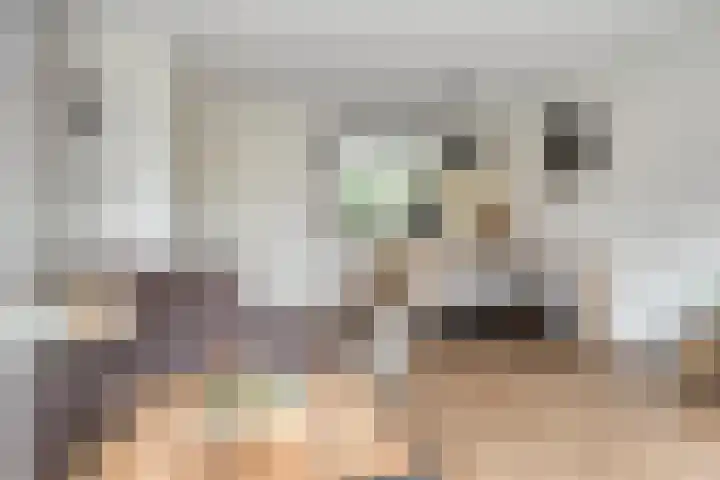 Kattestart 59 Gemert thumbnail 14