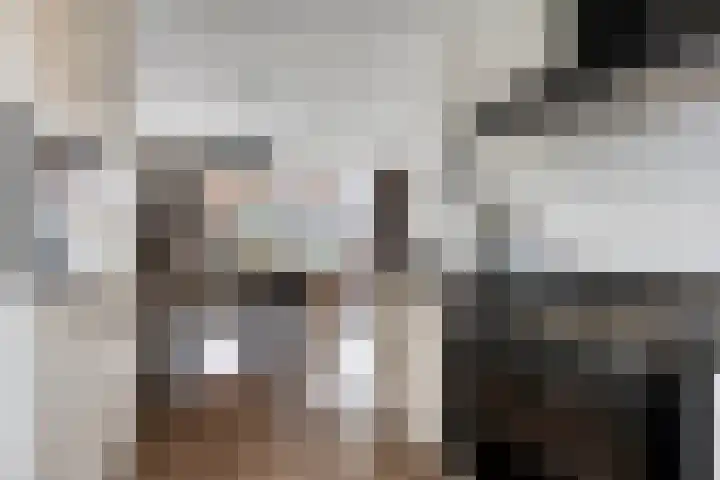 Kattestart 59 Gemert thumbnail 18