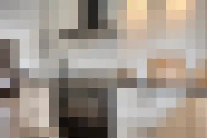 Kattestart 59 Gemert thumbnail 19
