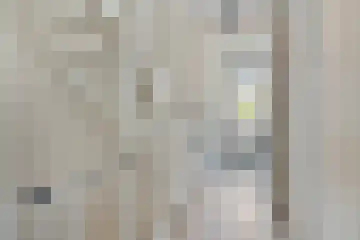 Kattestart 59 Gemert thumbnail 22