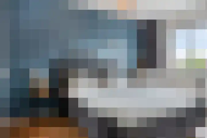 Kattestart 59 Gemert thumbnail 23