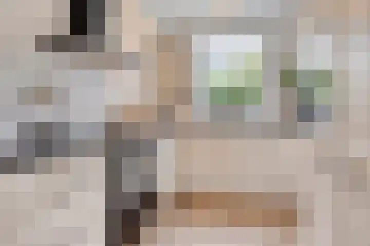 Kattestart 59 Gemert thumbnail 4