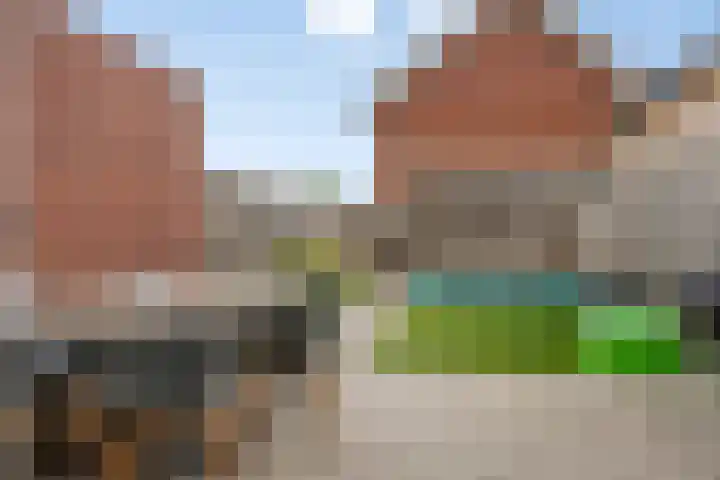 Kattestart 59 Gemert thumbnail 5