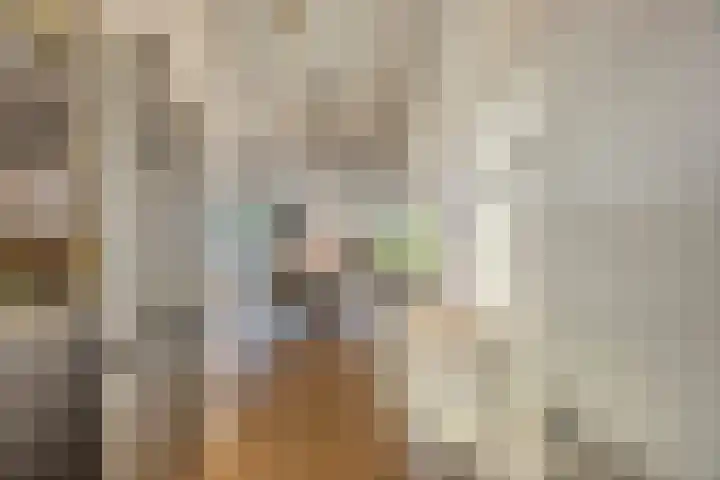 Kattestart 7 a Gemert thumbnail 10