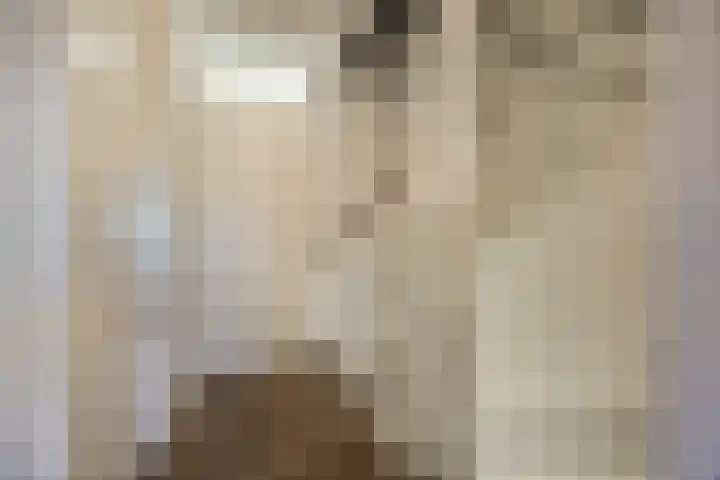 Kattestart 7 a Gemert thumbnail 11