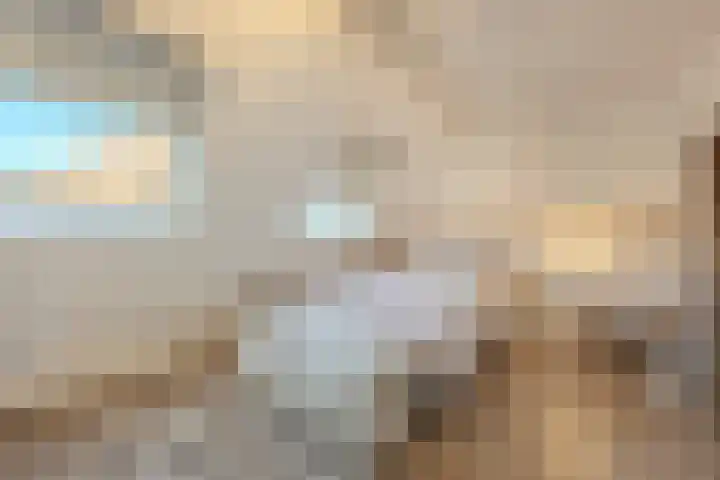 Kattestart 7 a Gemert thumbnail 13