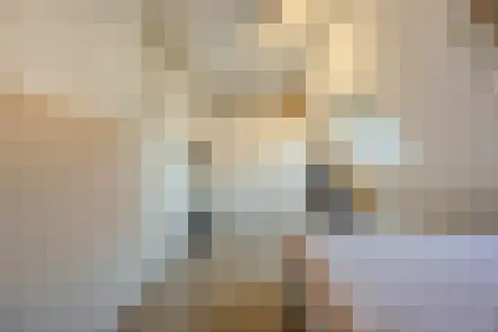 Kattestart 7 a Gemert thumbnail 14