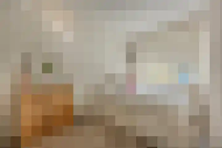 Kattestart 7 a Gemert thumbnail 15