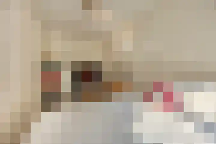 Kattestart 7 a Gemert thumbnail 16