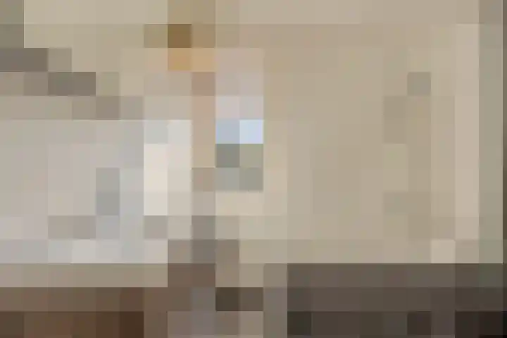 Kattestart 7 a Gemert thumbnail 17