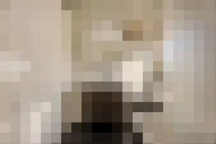 Kattestart 7 a Gemert thumbnail 19
