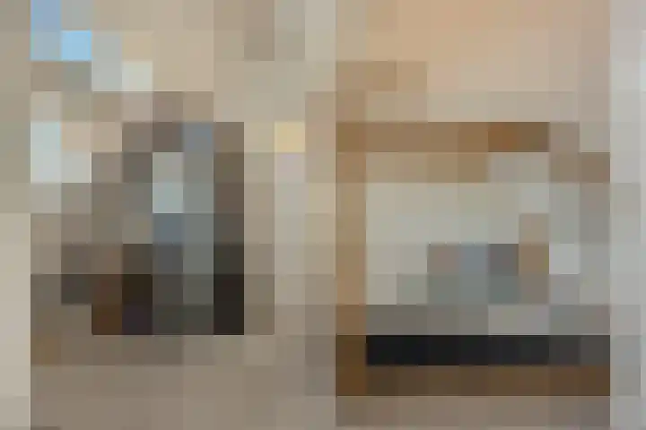 Kattestart 7 a Gemert thumbnail 20