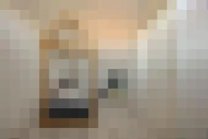 Kattestart 7 a Gemert thumbnail 22
