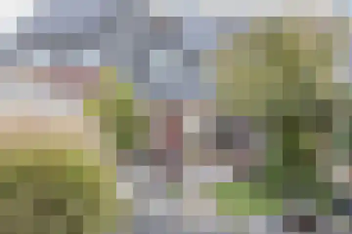 Kattestart 7 a Gemert thumbnail 23