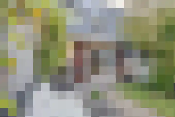Kattestart 7 a Gemert thumbnail 24
