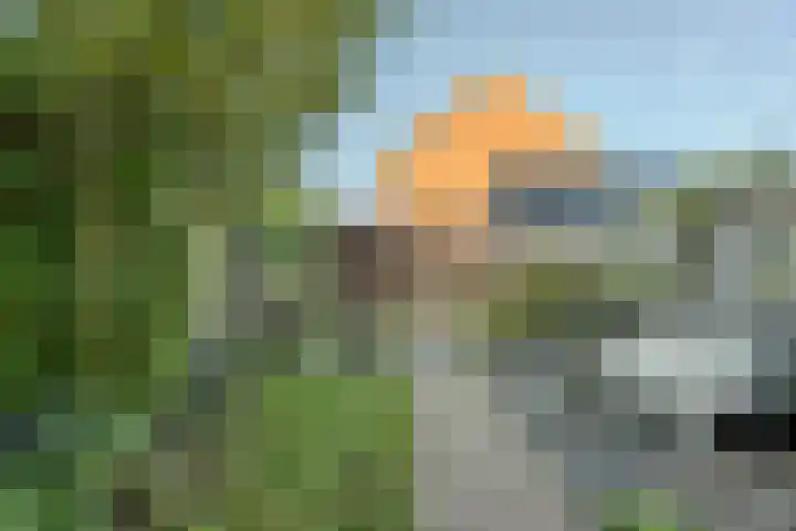Kattestart 7 a Gemert thumbnail 27