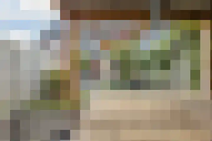 Kattestart 7 a Gemert thumbnail 29