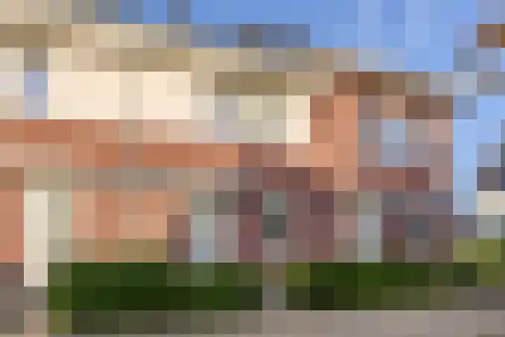 Kattestart 7 a Gemert thumbnail 30