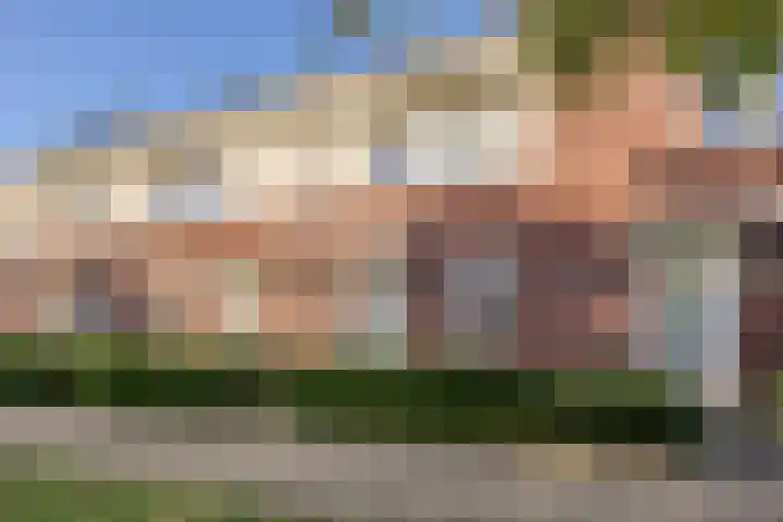 Kattestart 7 a Gemert thumbnail 31