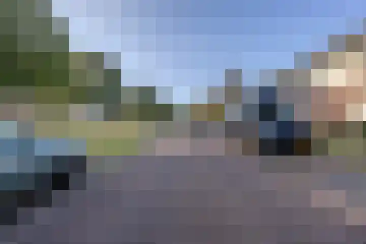 Kattestart 7 a Gemert thumbnail 32