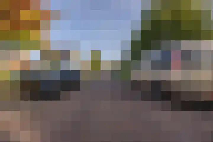 Kattestart 7 a Gemert thumbnail 33