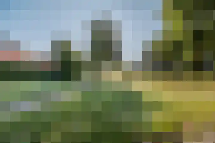Kattestart 7 a Gemert thumbnail 35