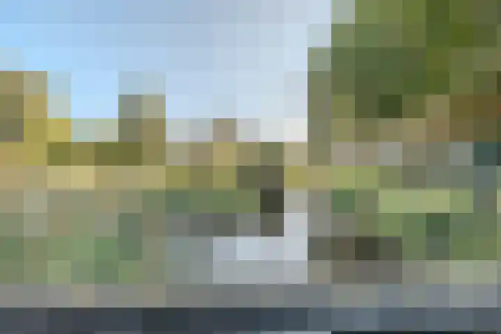 Kattestart 7 a Gemert thumbnail 36