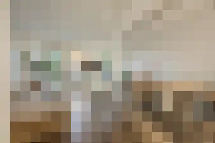 Kattestart 7 a Gemert thumbnail 5