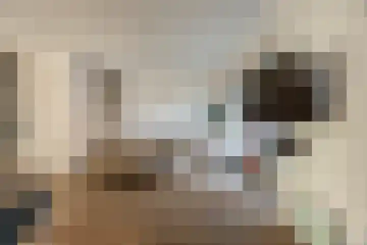 Kattestart 7 a Gemert thumbnail 6