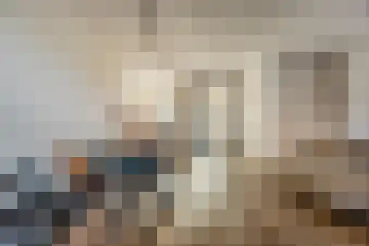 Kattestart 7 a Gemert thumbnail 7