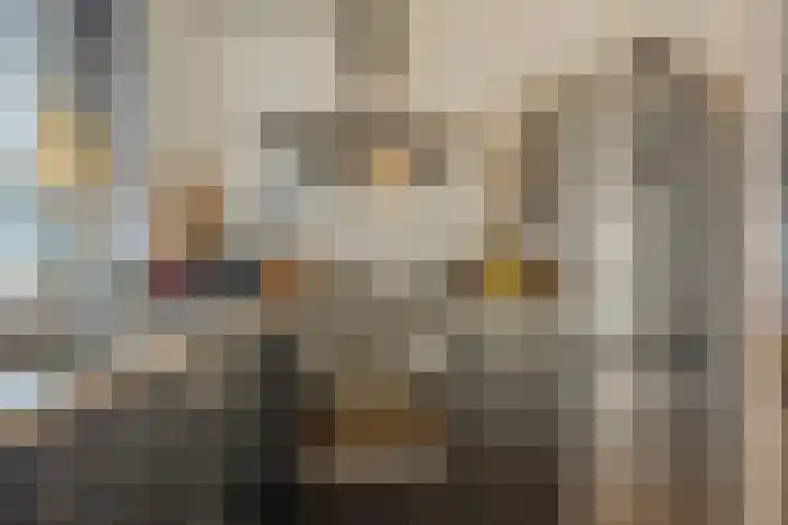 Kattestart 7 a Gemert thumbnail 9