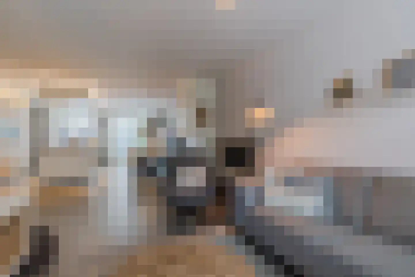 Kattestart 8 Gemert thumbnail 11