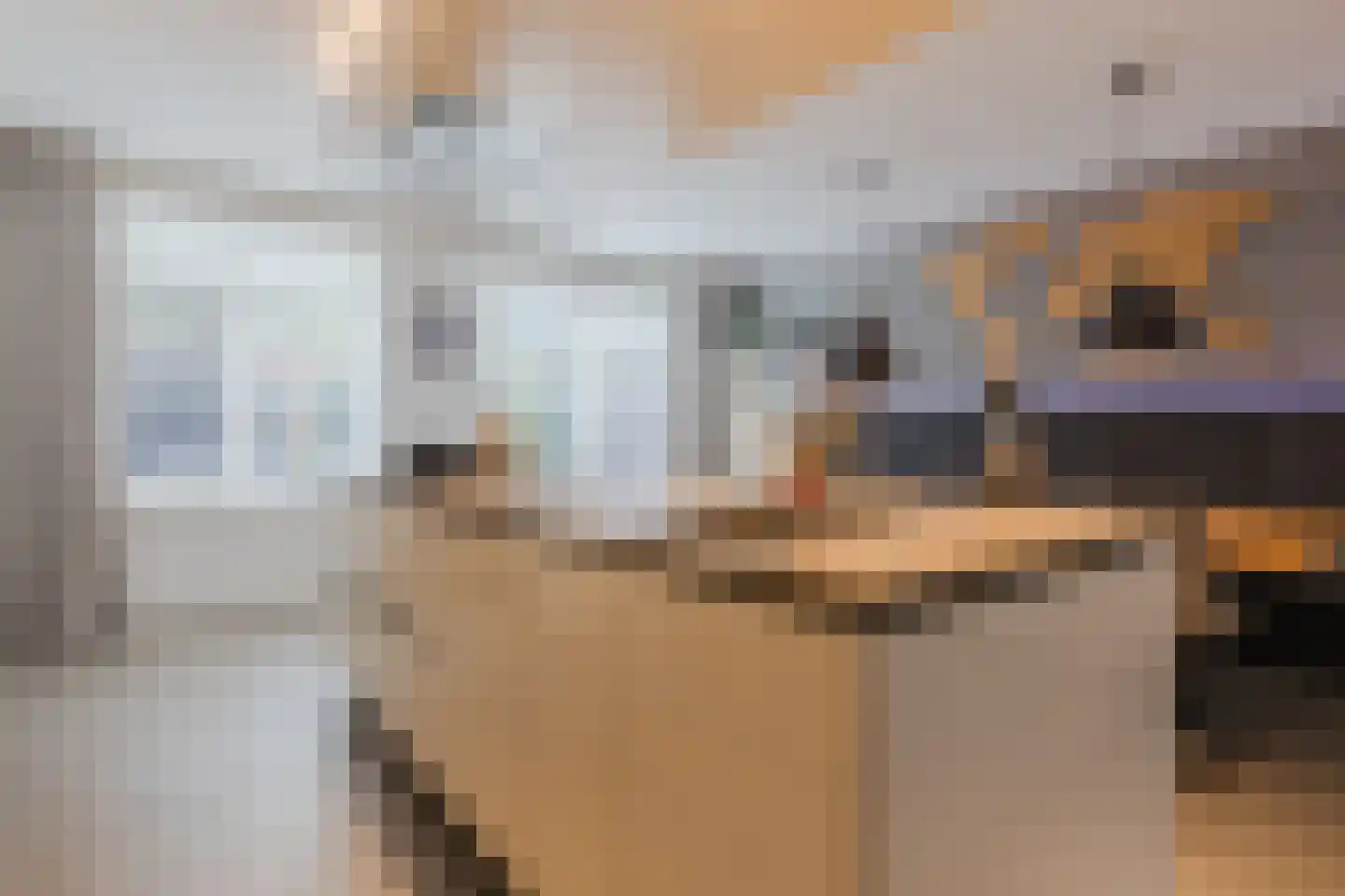 Kattestart 8 Gemert thumbnail 16