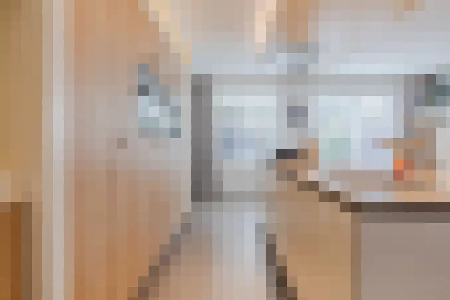 Kattestart 8 Gemert thumbnail 17
