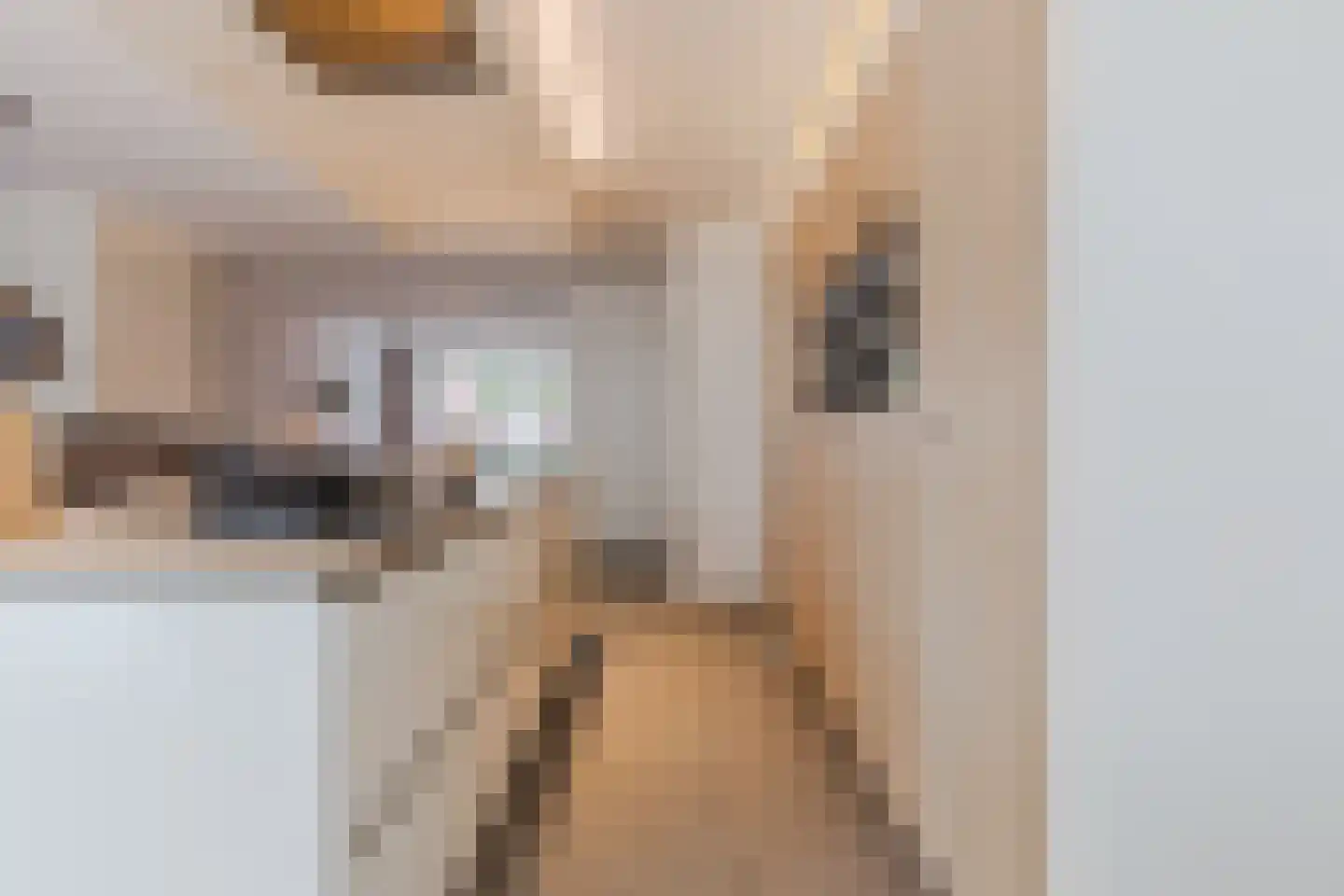 Kattestart 8 Gemert thumbnail 18
