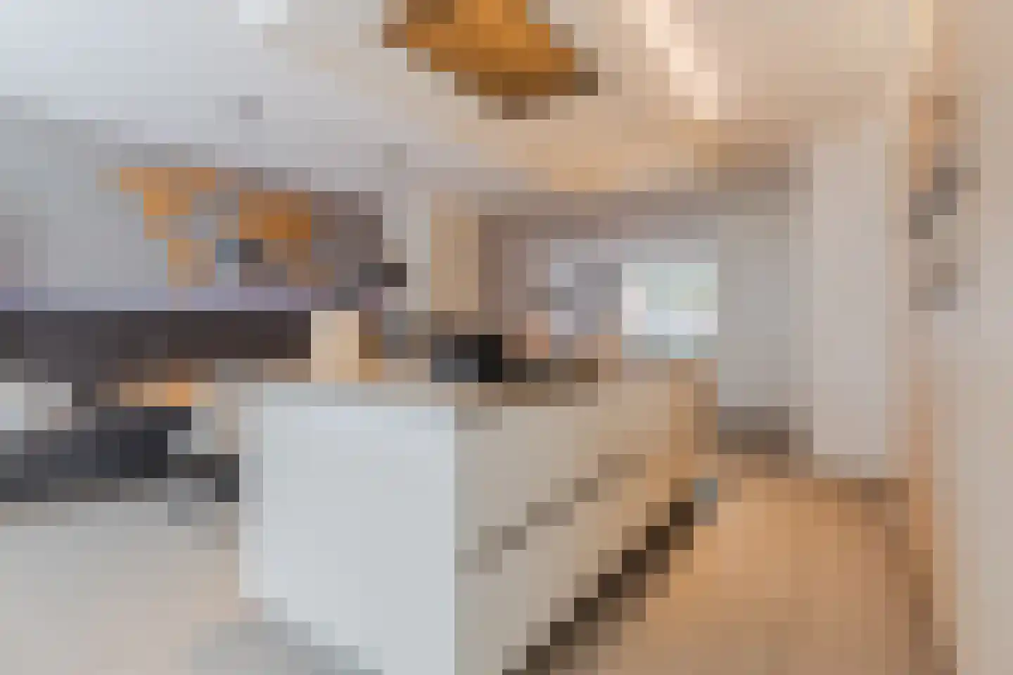 Kattestart 8 Gemert thumbnail 20