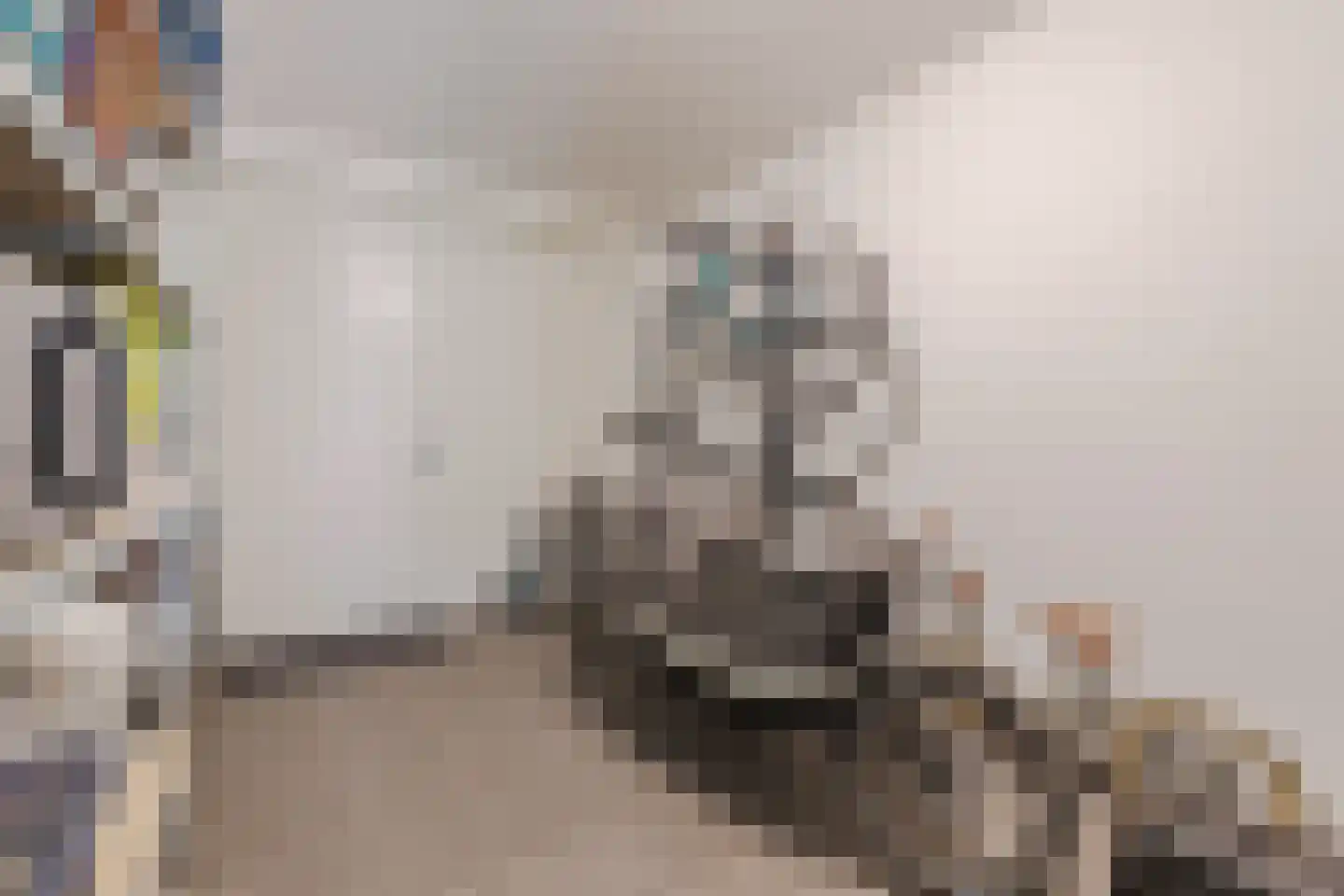 Kattestart 8 Gemert thumbnail 29