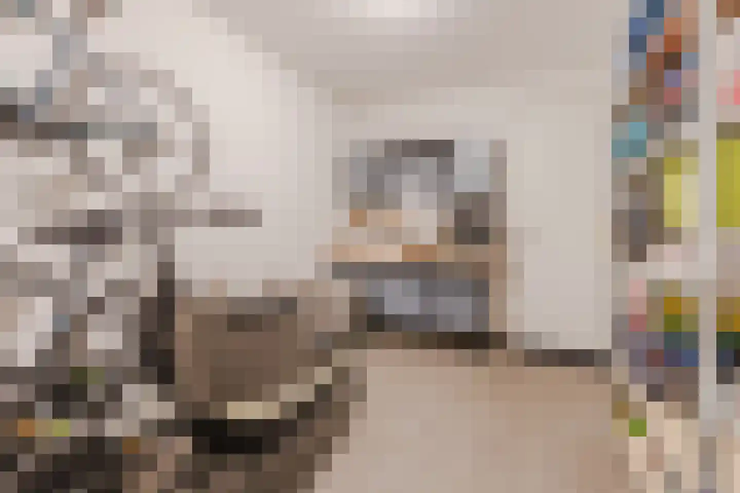 Kattestart 8 Gemert thumbnail 30