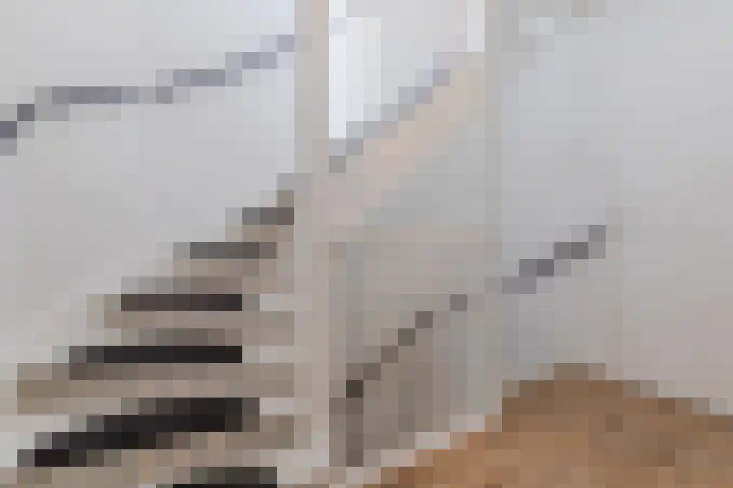 Kattestart 8 Gemert thumbnail 31